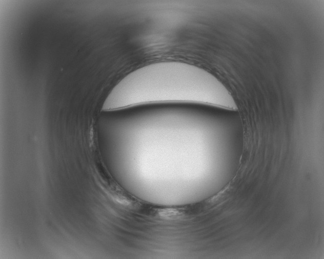 X0000071850183200606301139