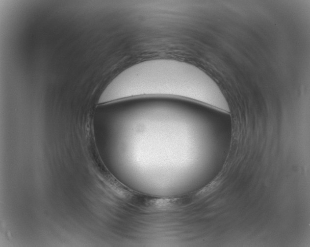 X0000071850184200606301139