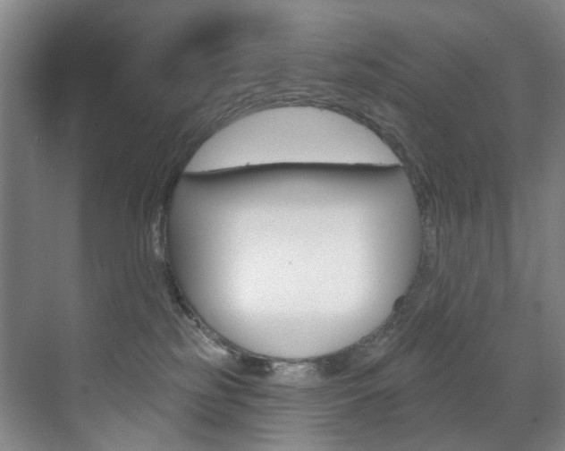 X0000071850185200606301139