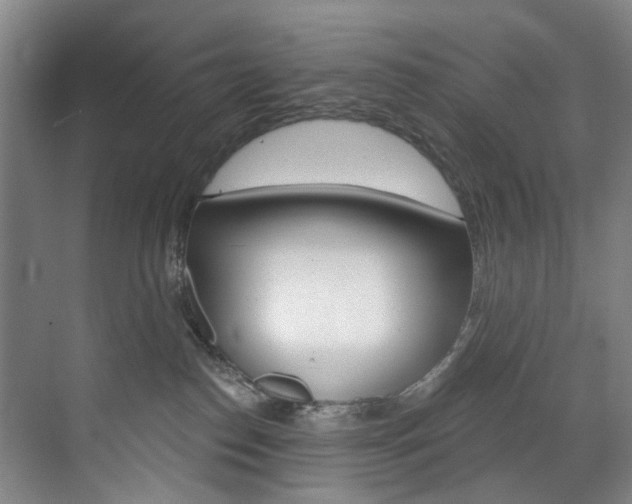 X0000071850186200606301139