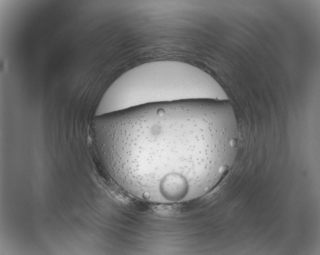 X0000071850187200606301139