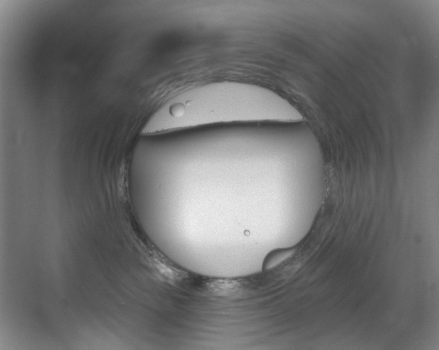 X0000071850189200606301139