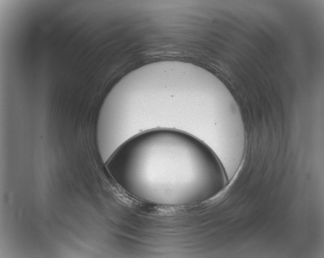 X0000071850190200606301139