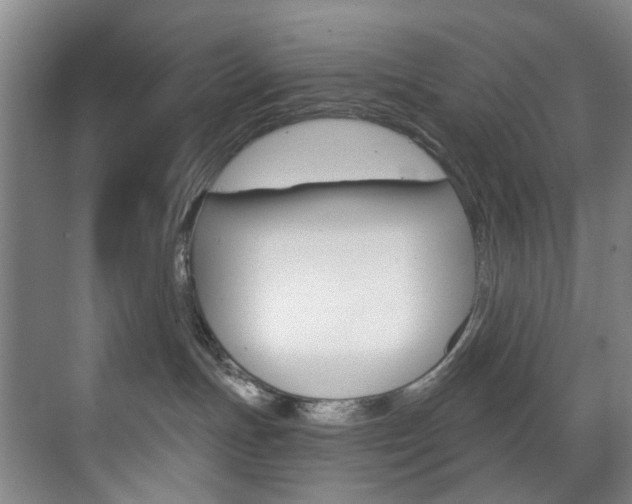 X0000071850191200606301139