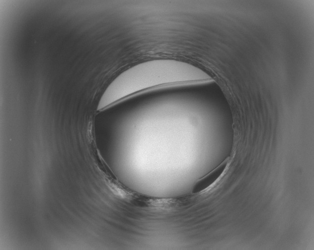 X0000071850192200606301139