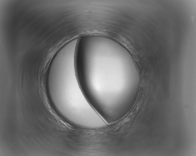 X0000071850193200606301138