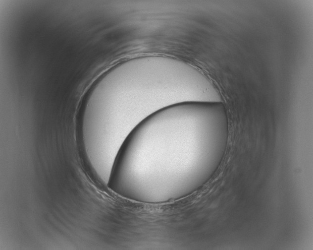 X0000071850194200606301138