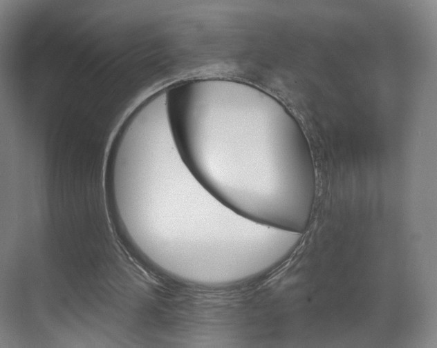 X0000071850196200606301138