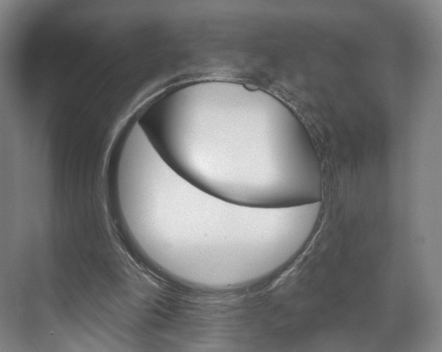 X0000071850198200606301138