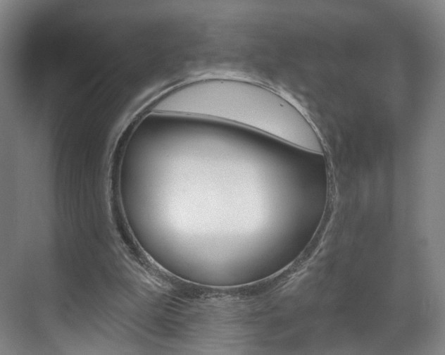 X0000071850199200606301138