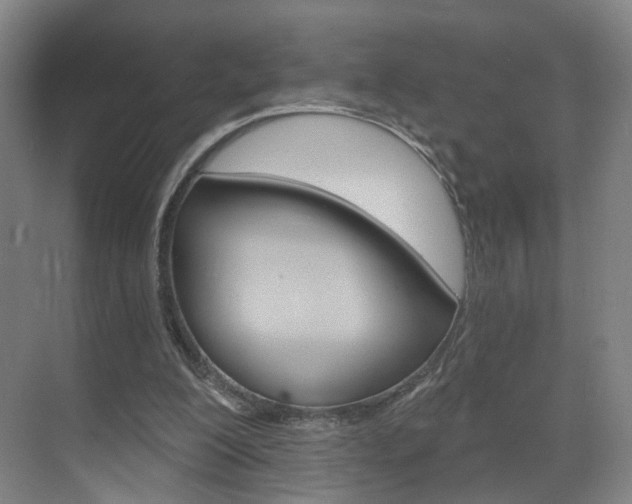 X0000071850200200606301138