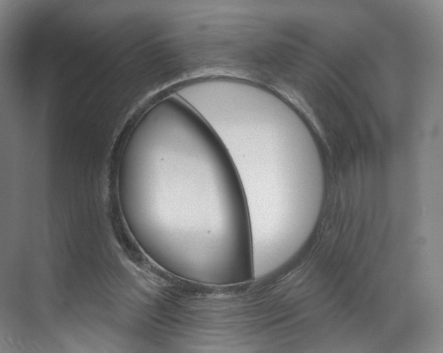 X0000071850204200606301138