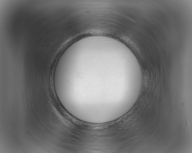 X0000071850208200606301138