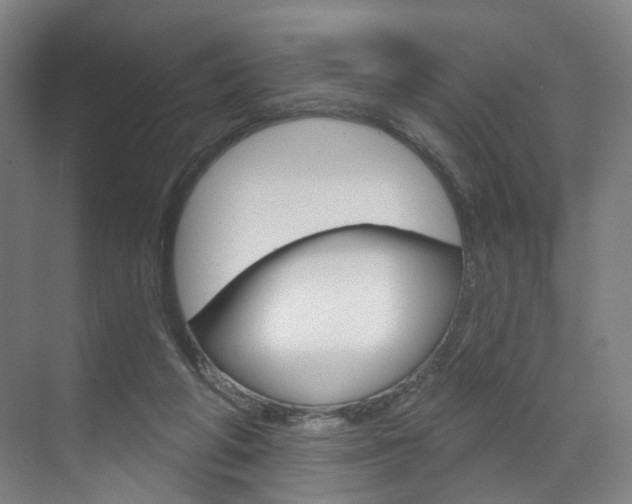 X0000071850210200606301138