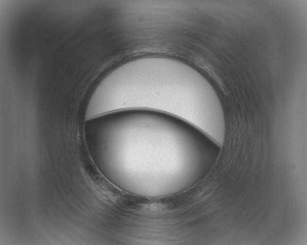 X0000071850212200606301138