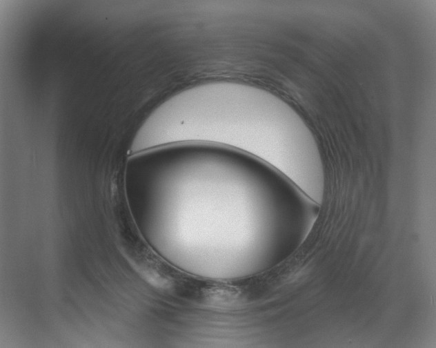 X0000071850215200606301138