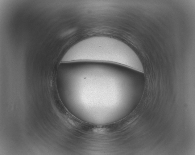 X0000071850216200606301138