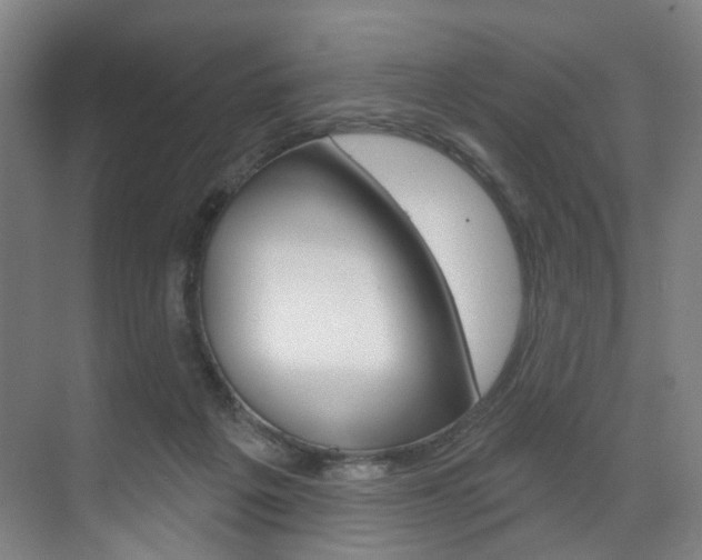 X0000071850217200606301138