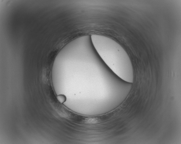 X0000071850218200606301138