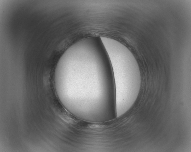 X0000071850221200606301138