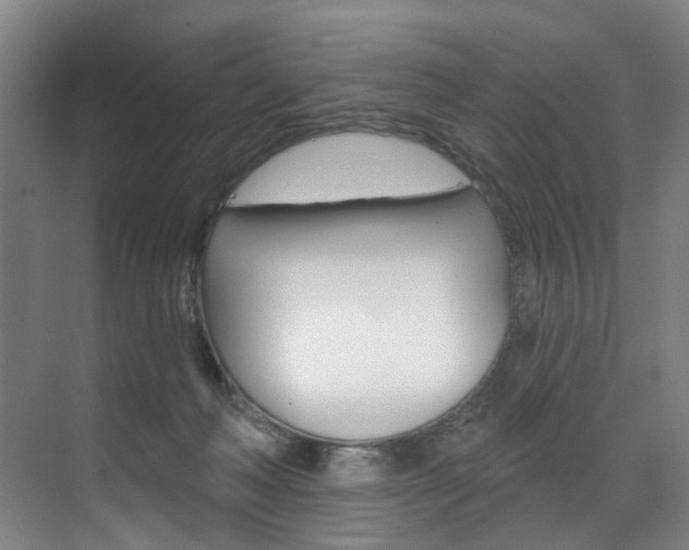 X0000071850222200606301138