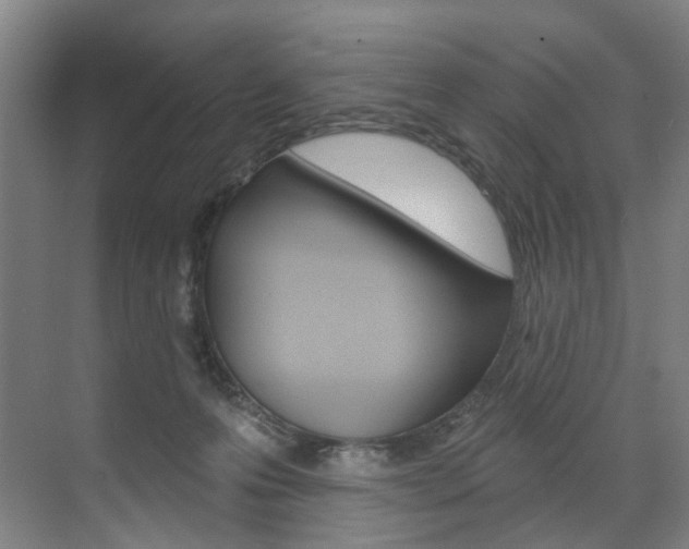 X0000071850223200606301138