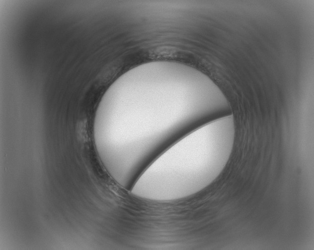 X0000071850224200606301138