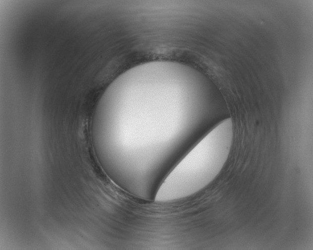 X0000071850225200606301138