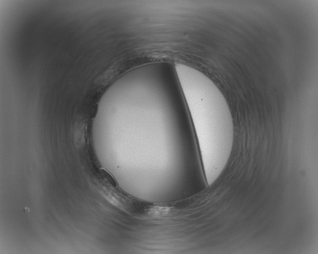 X0000071850227200606301138