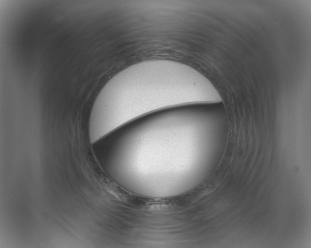 X0000071850228200606301138