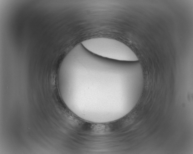 X0000071850230200606301138