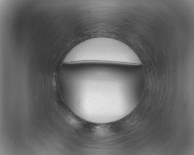 X0000071850232200606301138