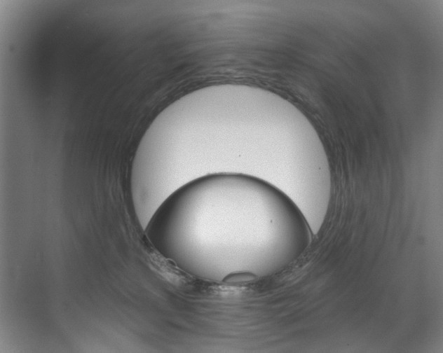 X0000071850233200606301138