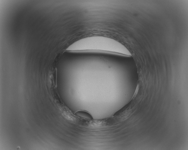 X0000071850235200606301138