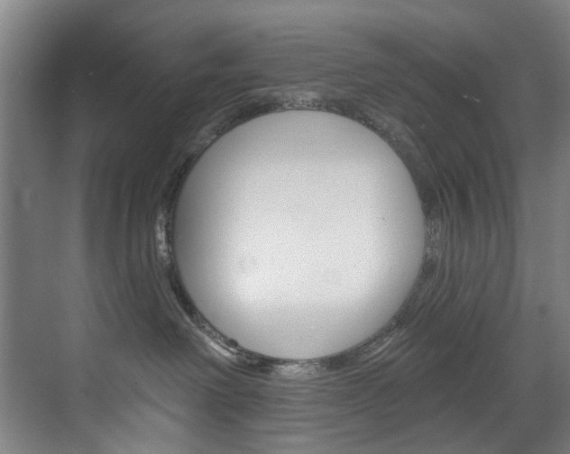 X0000071850238200606301138