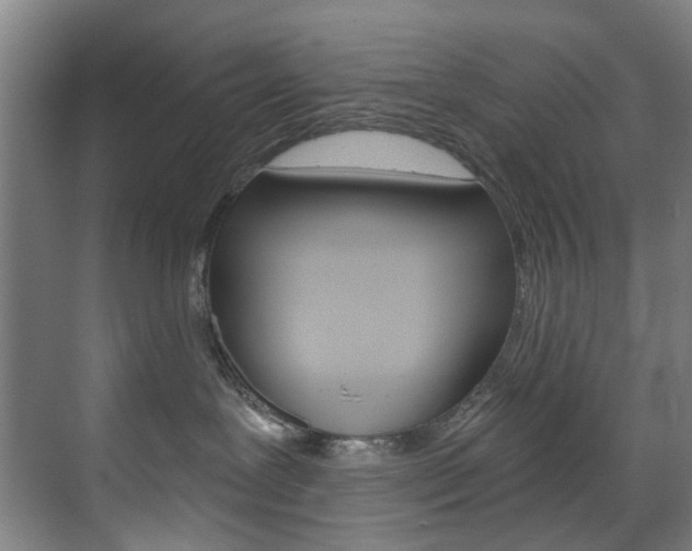 X0000071850239200606301138