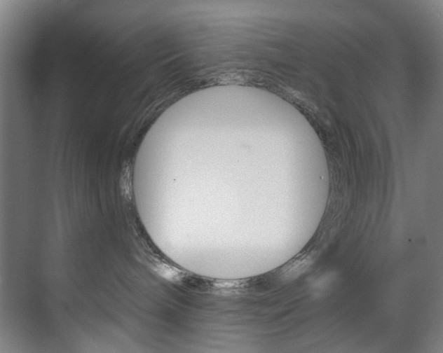 X0000071850240200606301138