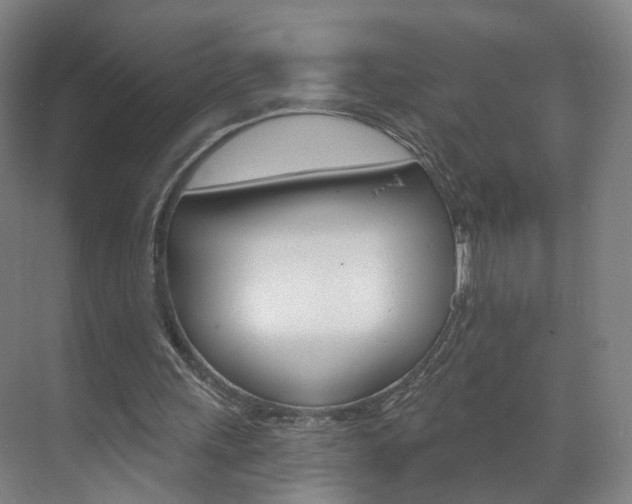 X0000071850243200606301137