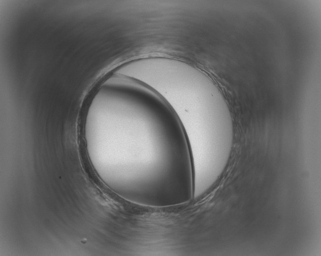 X0000071850244200606301137