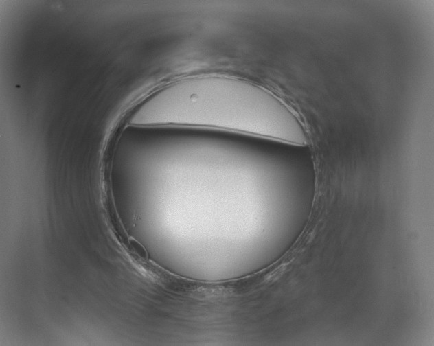 X0000071850245200606301137