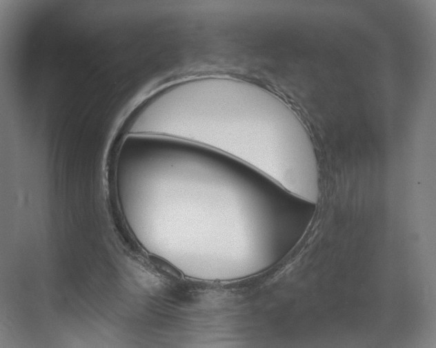 X0000071850246200606301137