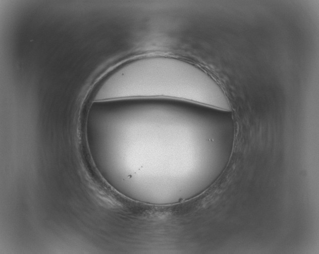 X0000071850247200606301137