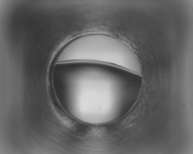 X0000071850248200606301137