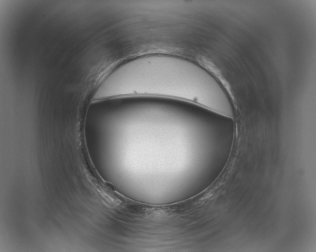 X0000071850249200606301137