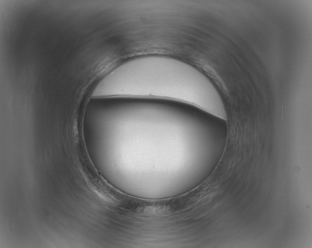 X0000071850251200606301137