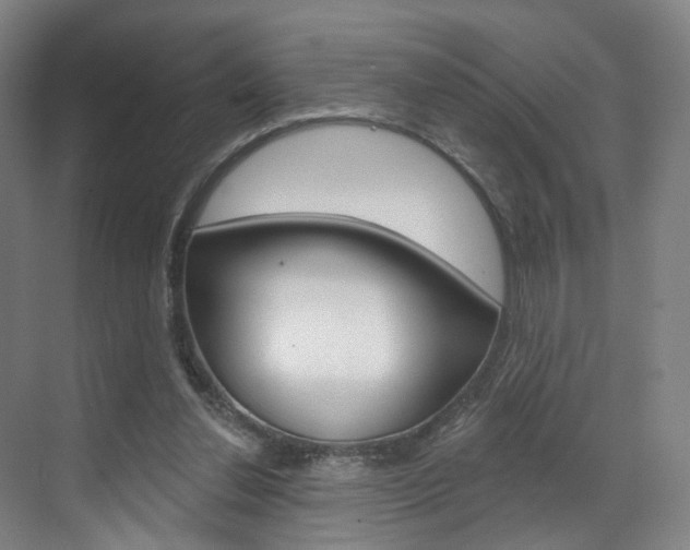 X0000071850252200606301137