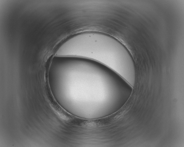 X0000071850253200606301137