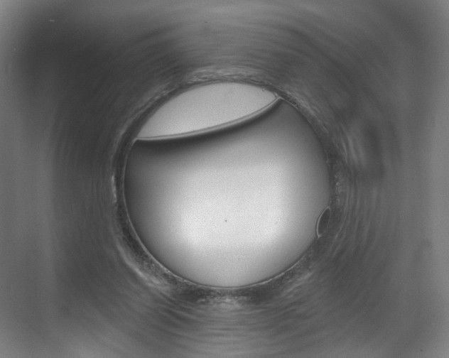 X0000071850254200606301137