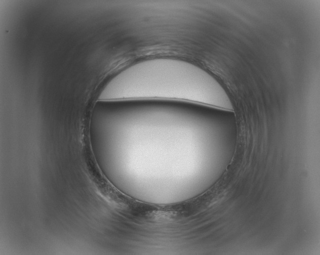 X0000071850255200606301137