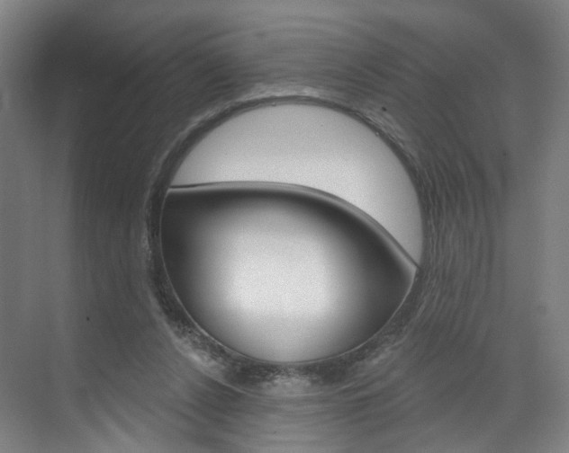 X0000071850256200606301137